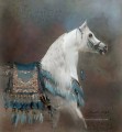 weißes Pferd arabisches Tier